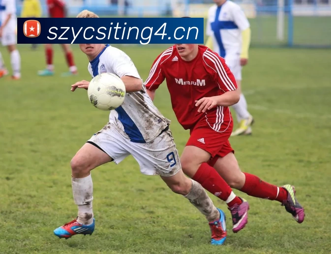 多媒体互动体验